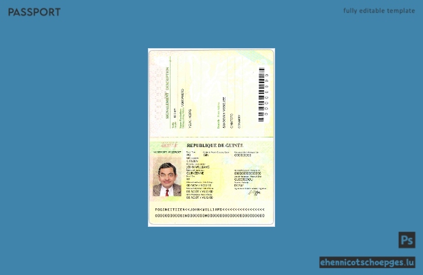 Guinea-Reisepass 2014-2018 – Beispielvorschau